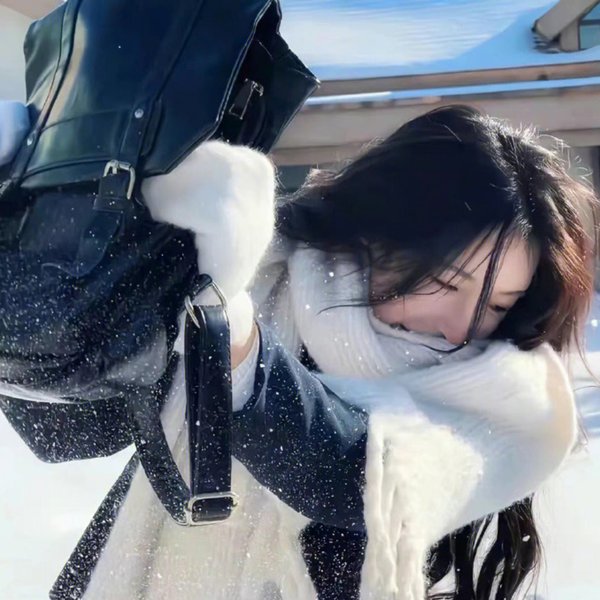 汪洋中的一条船